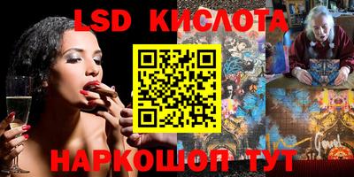 PSILOCYBIN Бугуруслан