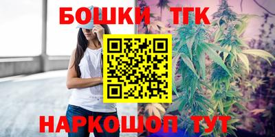 ешки Будённовск