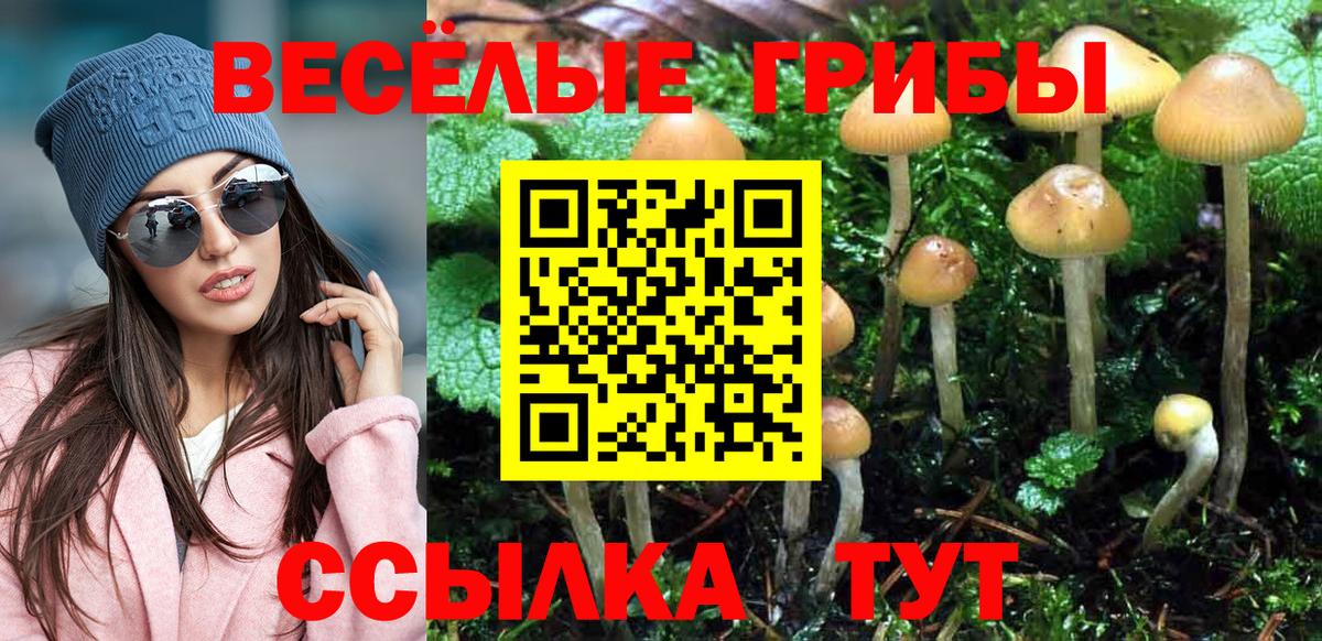 Псилоцибиновые грибы Magic Shrooms  Вход с VPN  Нефтекамск 