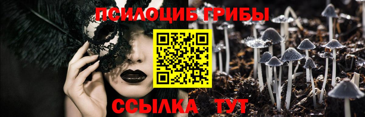 Галлюциногенные грибы MAGIC MUSHROOMS Нефтекамск